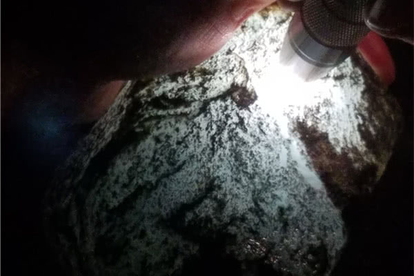 莫西沙赌石打灯皮壳表现,赌石翡翠莫西沙场口