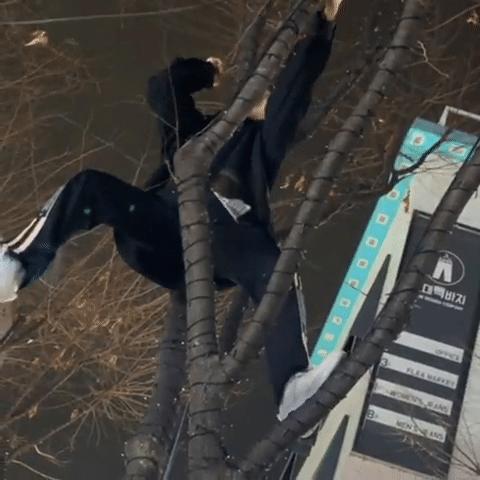 韩国首尔摆地摊,去首尔当练习生