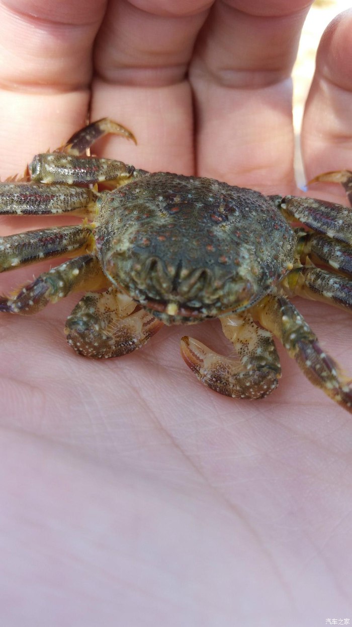 埃及10日游旅游攻略图,埃及六日游路线攻略图高清