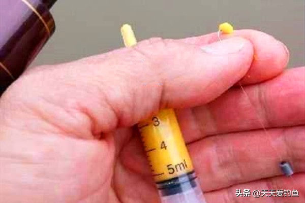 野钓冬季大鲫鱼最佳饵料,秋天野钓大板鲫的饵料