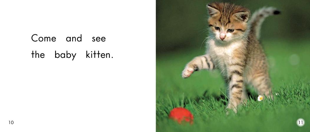 小动物幼儿启蒙,幼儿小动物