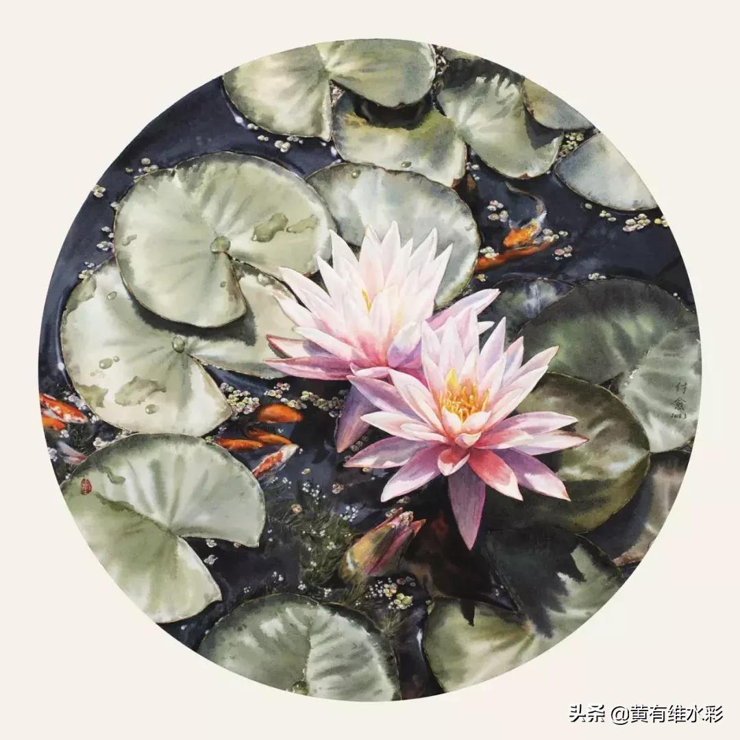 小清新水彩画玫瑰花,水彩画雨中玫瑰