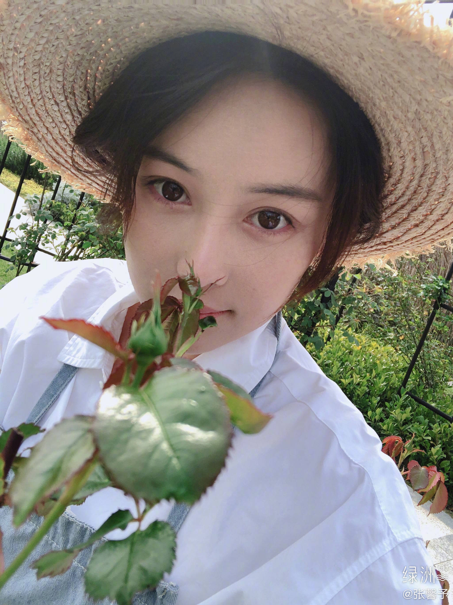 张馨予白头发,张馨予长发回归