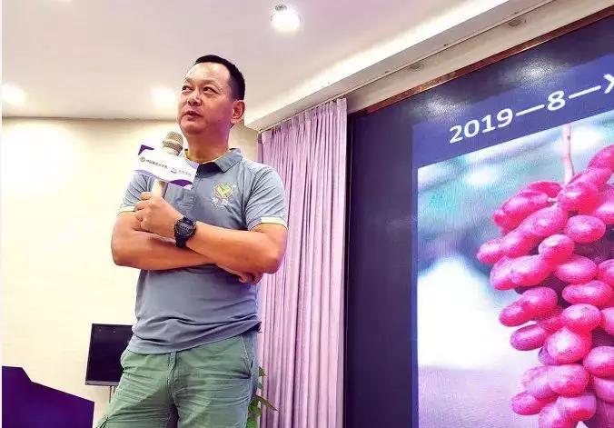 葡萄新品种发展潜力,未来5年最具潜力的葡萄品种