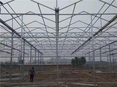 战疫助农滞销品突然销售火爆,战疫助农数据