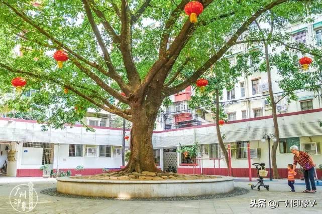 遇到老实人就嫁了吧,遇到贵州人你就嫁了吧