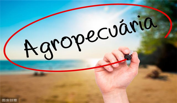 喊单骗局,叫你投资的骗局揭秘