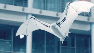 “令人敬佩”的德国设计，126年历史美甲资历，50块钱用10年