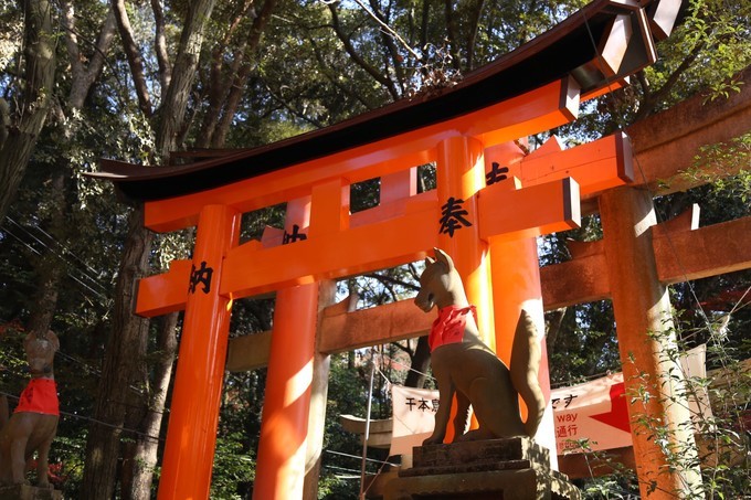 日本京都枫叶季旅游攻略,日本关西赏枫旅游攻略