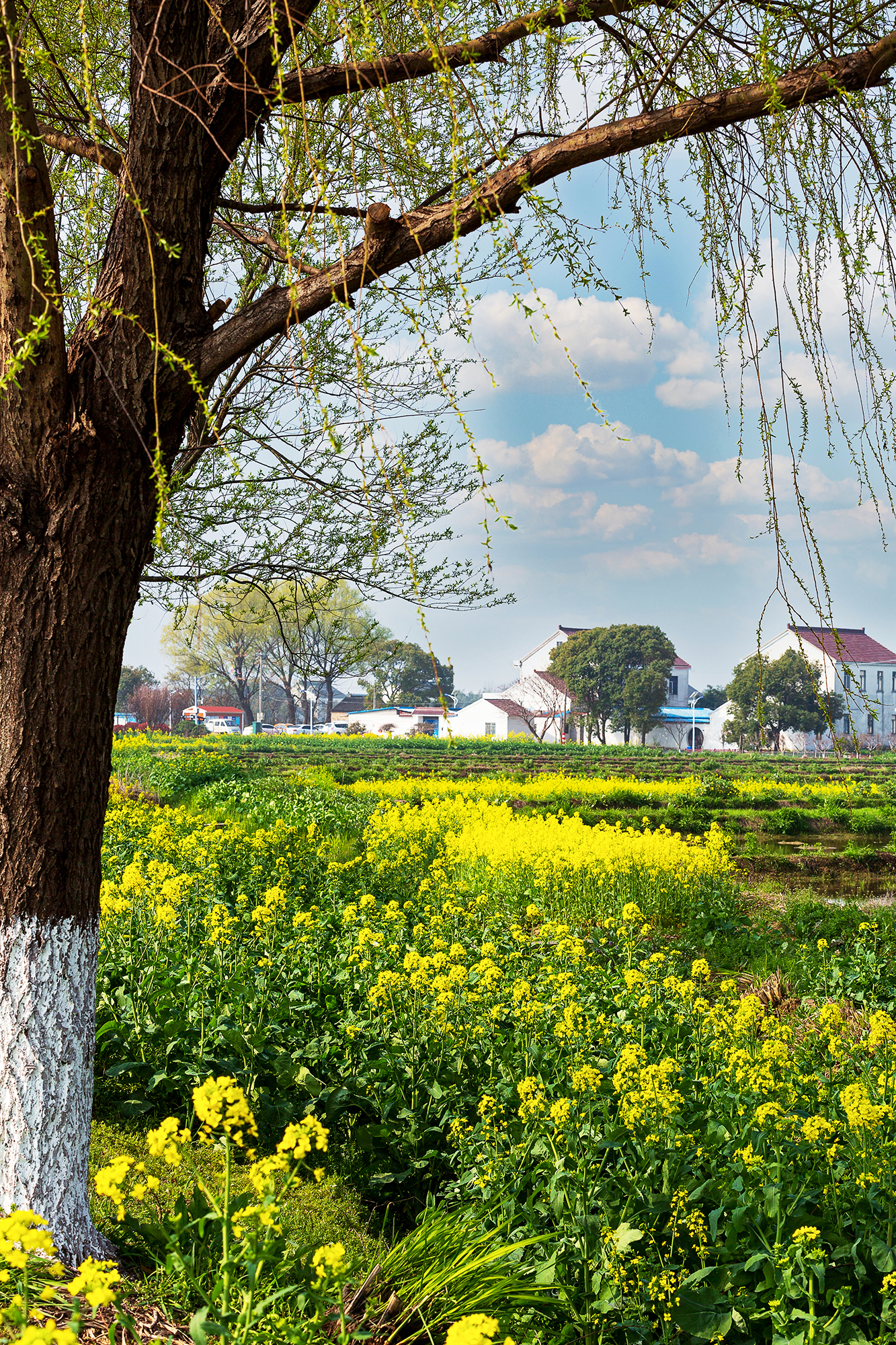 刚好我也喜欢你暮回全文阅读,刚好我也喜欢你小说完整版