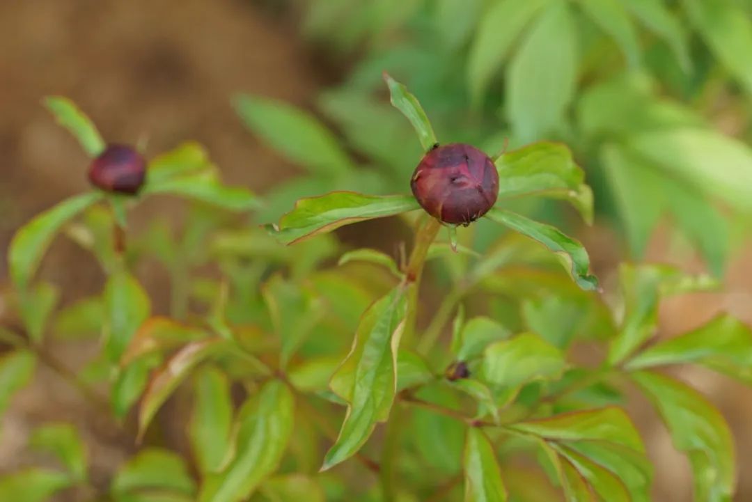 pr公关入门详细教程,pr公关课程