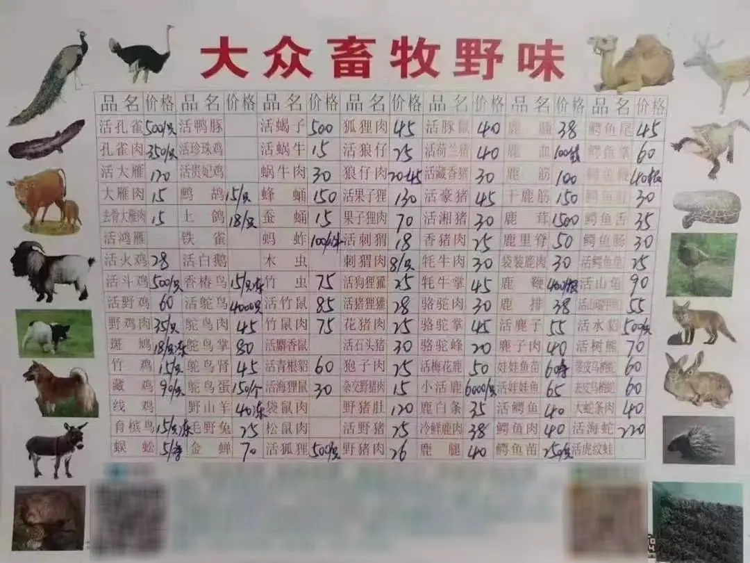 远离野生味的野味,不要吃动物