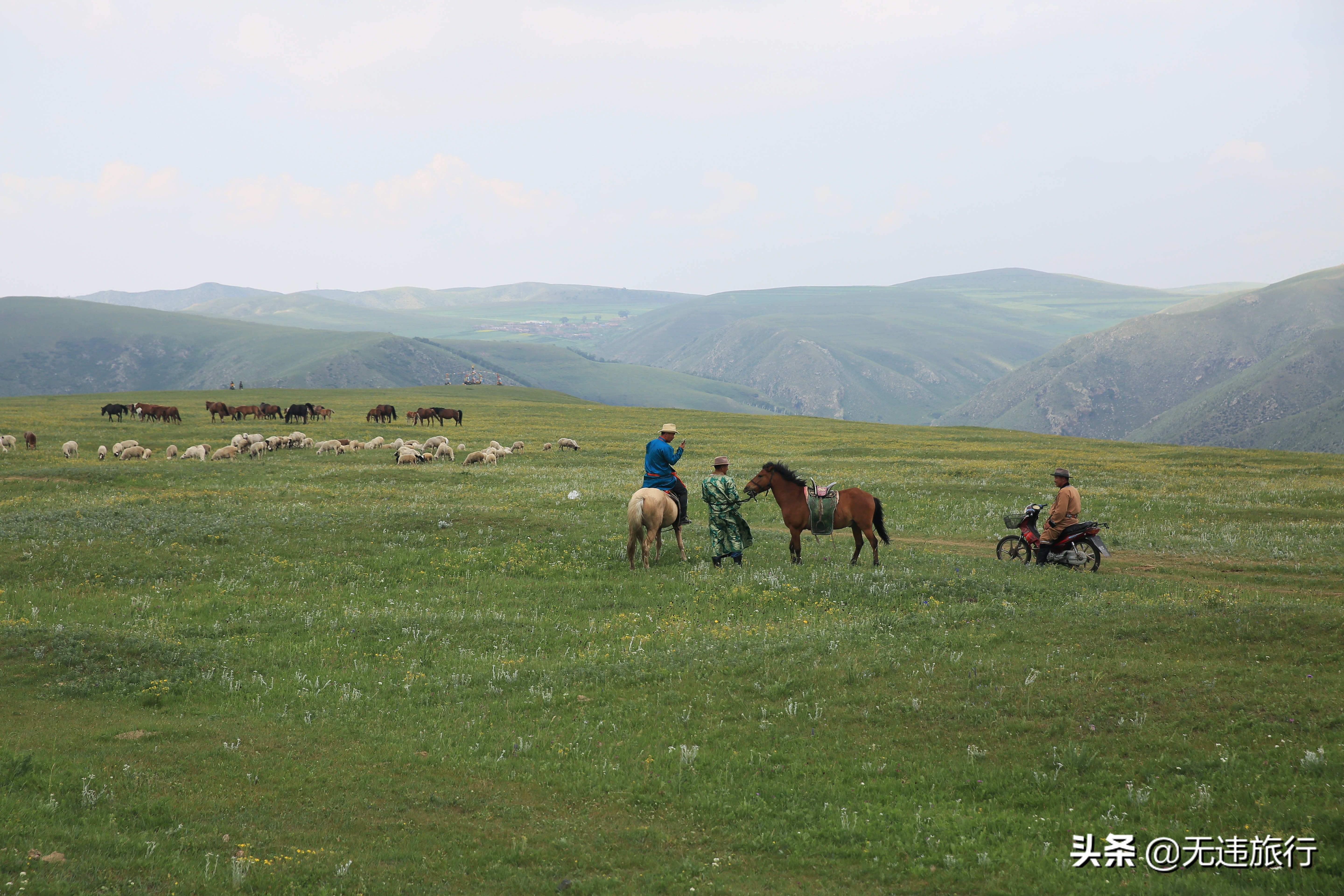 辉腾锡勒草原黄花沟游玩时长,辉腾锡勒草原黄花沟见闻
