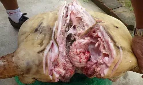 卤牛杂处理,牛杂碎卤制方法