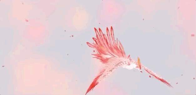 世界十大神奇动物,十大神奇动物园