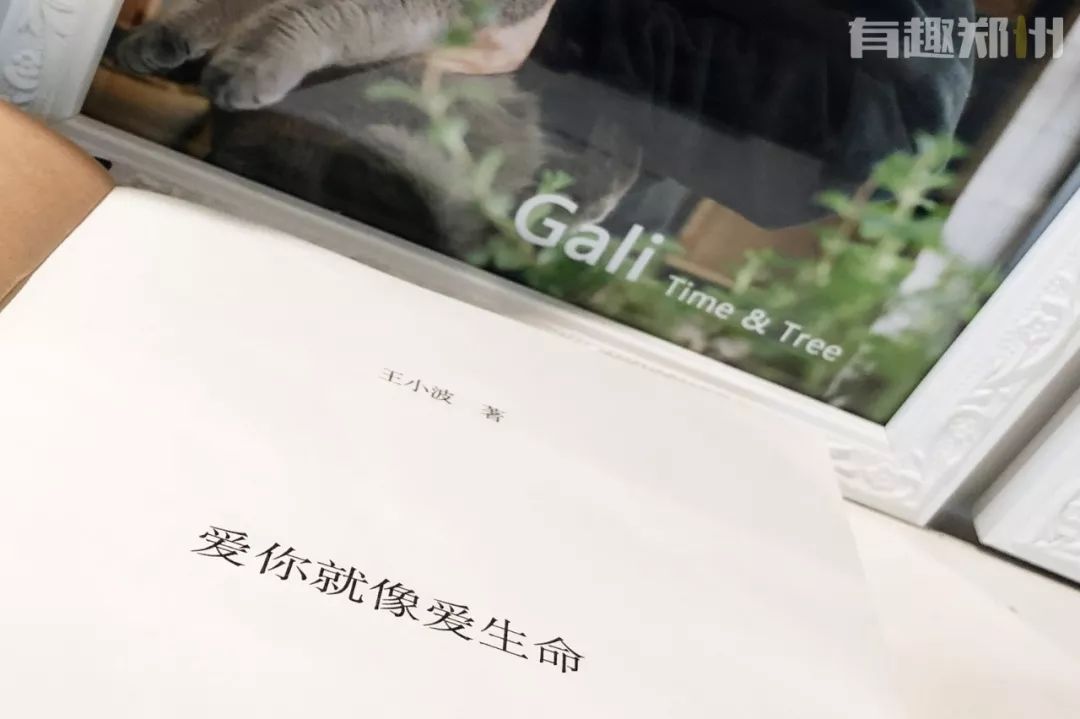 郑州元旦有啥好玩的,元旦快乐有惊喜