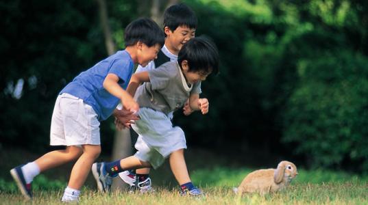 脑神经科学家告诉你睡眠的重要性,脑神经科学专家