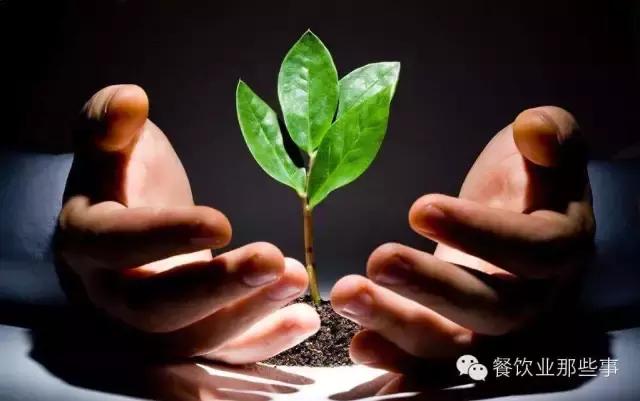 乔家面馆创始人管毅宏,管毅宏董事长