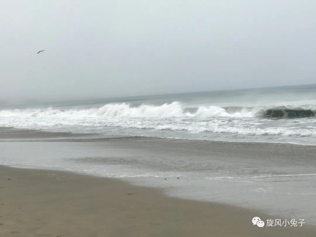 加州沿海1号公路自驾游散装系列（一）：阳光北加的金山依旧