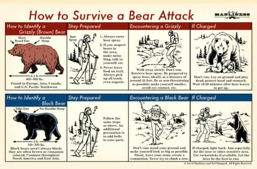 被“青春伤痛文学”冤枉了十几年，金鱼：我的记忆真的不止7秒