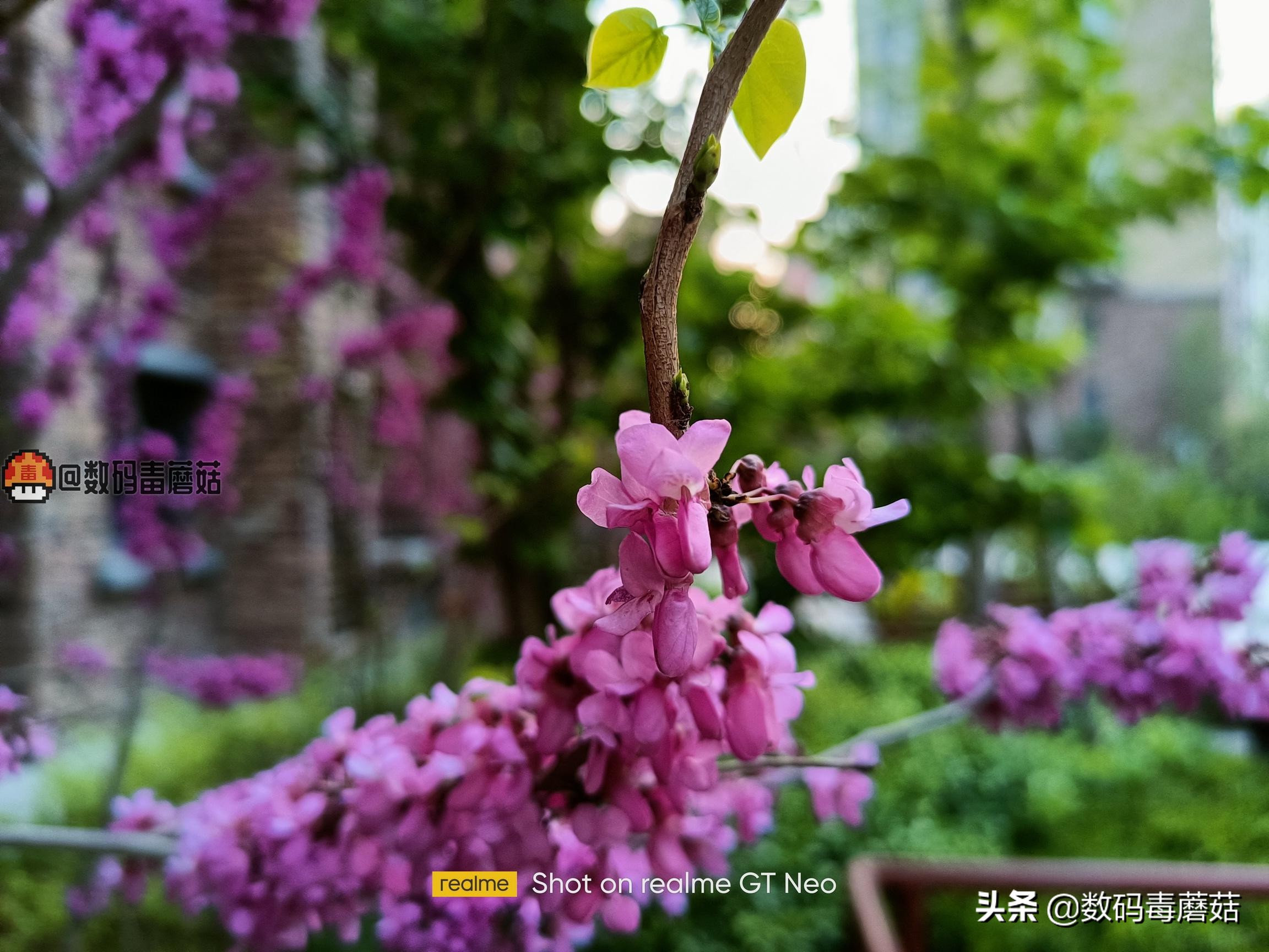 realme真我gtneo5旗舰新机怎么样,全新realme真我gtneo优点缺点