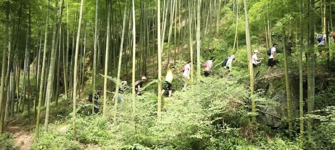 站点新闻|新站点首期会员活动“寻找菩提岛”之莫干山之旅