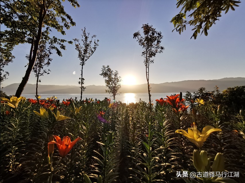 成也螺旋藻，败也螺旋藻～这个中国唯一的湖泊，未来该何去何从？