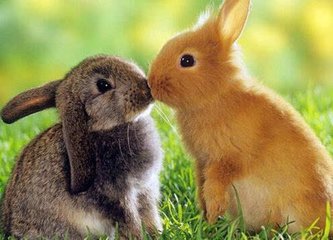 在房间怎么增加桃花运,怎样增加自己的桃花运势