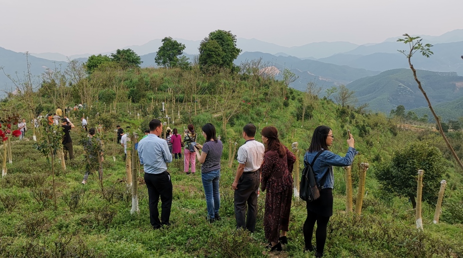 小孩为什么容易感冒咳嗽,小孩容易感冒咳嗽什么原因
