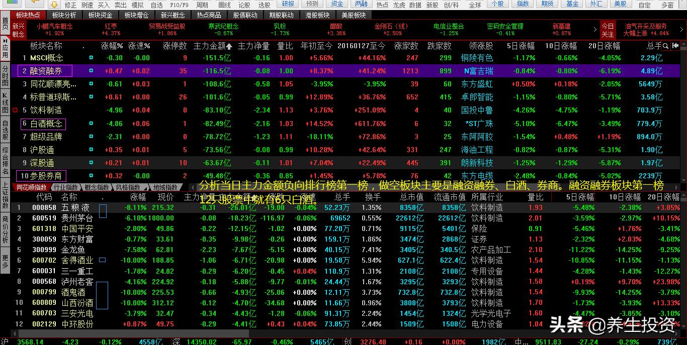 新能源板块有哪些投资机会,新能源投资股市行情走势