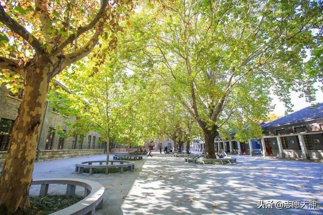 曲阜师范大学学习的地方,在曲阜上学有啥优越条件