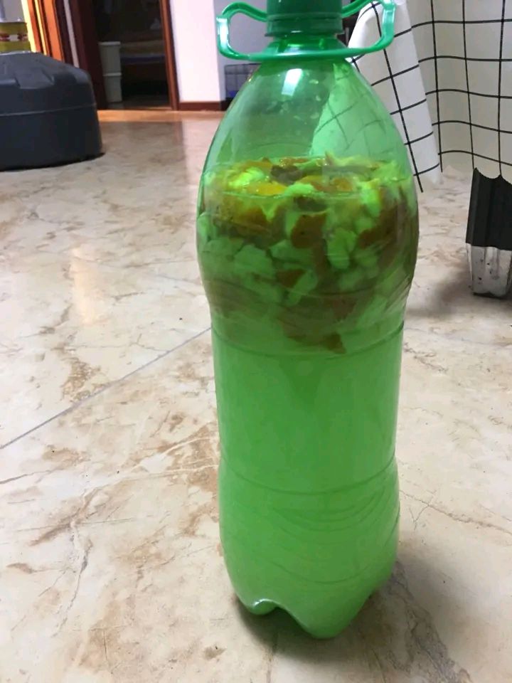 淘米水浇了发酵很臭怎么办,发酵淘米水浇花特别臭