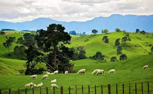 全球哪里最适合华人经商,全球适合中国人创业的国家