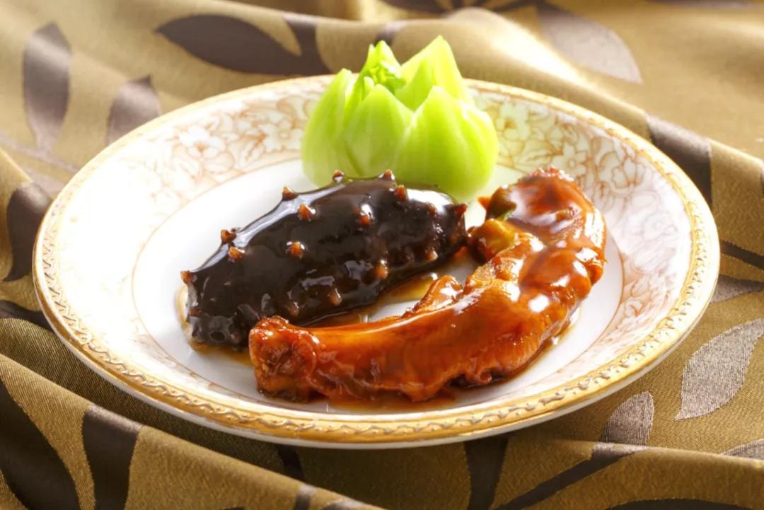 海参辽参刺参哪种参最好,海参刺参跟红参的区别