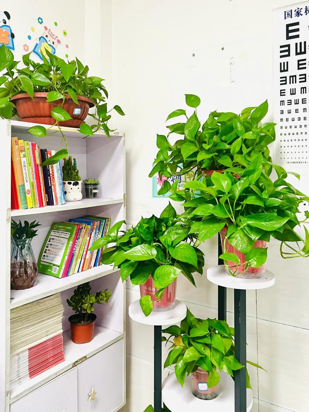 学校即将开展最美教师评选活动,我眼中的最美校园