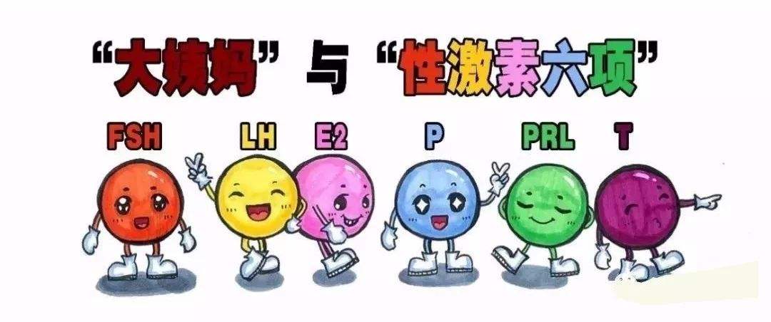 性激素六项哪一项是看月经不调,雌激素六项看不懂