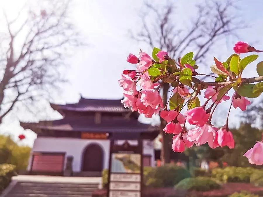 南通已经入春了吗,今年南通什么时候入春