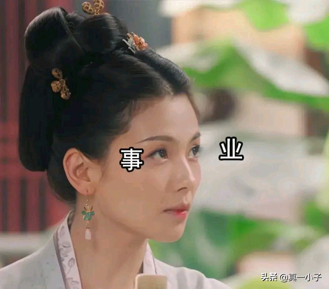 刘涛类型的女明星,刘涛堪称娱乐圈最成功女艺人