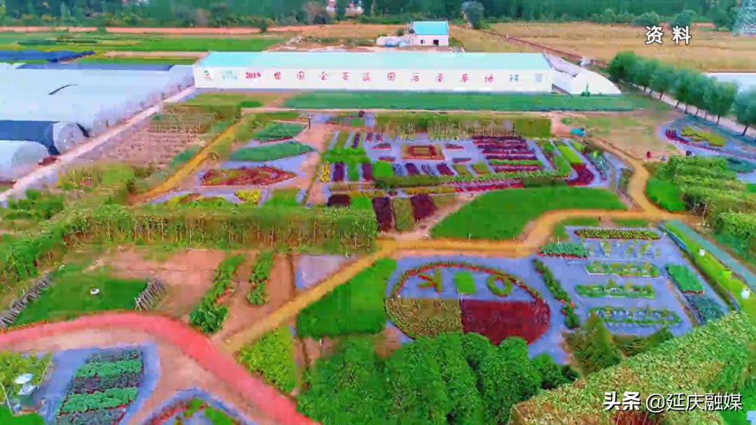 政协委员关于农业的提案,政协聚焦生态拿出更多提案建议