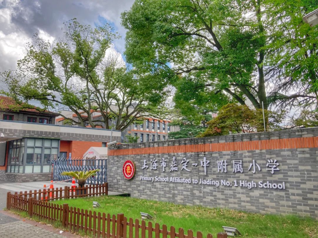 动起来的户外运动,动起来的户外活动幼儿园