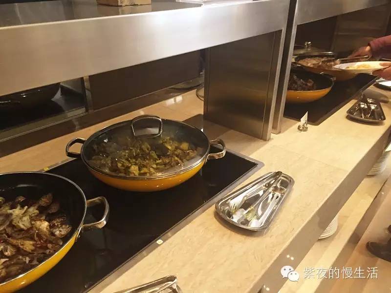 苏州带宠物去的古镇,苏州小众宠物乐园推荐