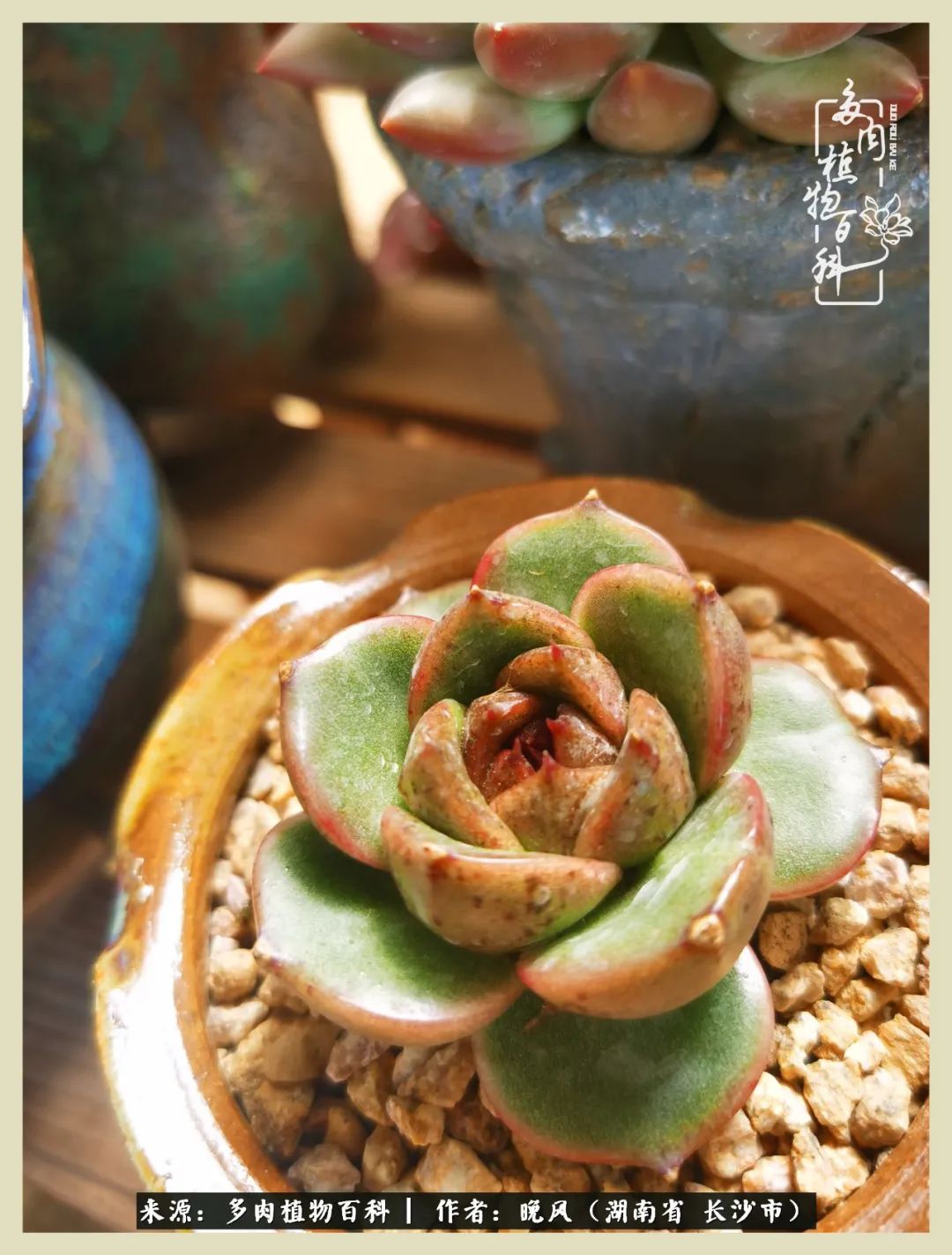 摇身一变成了奶爸,摇身一变成为打工人