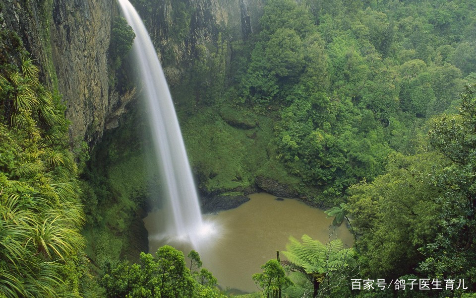 小便泡沫多是肾病吗怎样治疗,小便混浊且有泡沫是不是肾虚