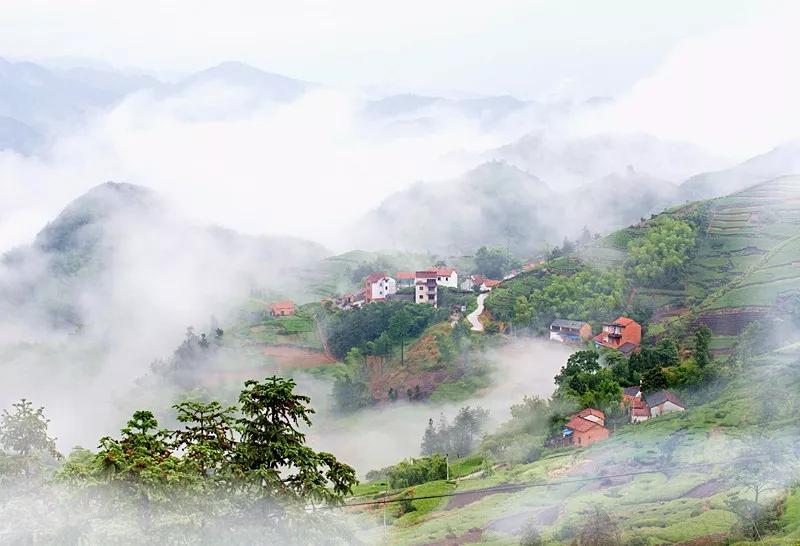 最具仪式感的跨年方式！浙江8个绝美日出地，元旦就出发