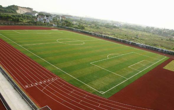 标准田径场示意图,田径场地的设计有哪些原则