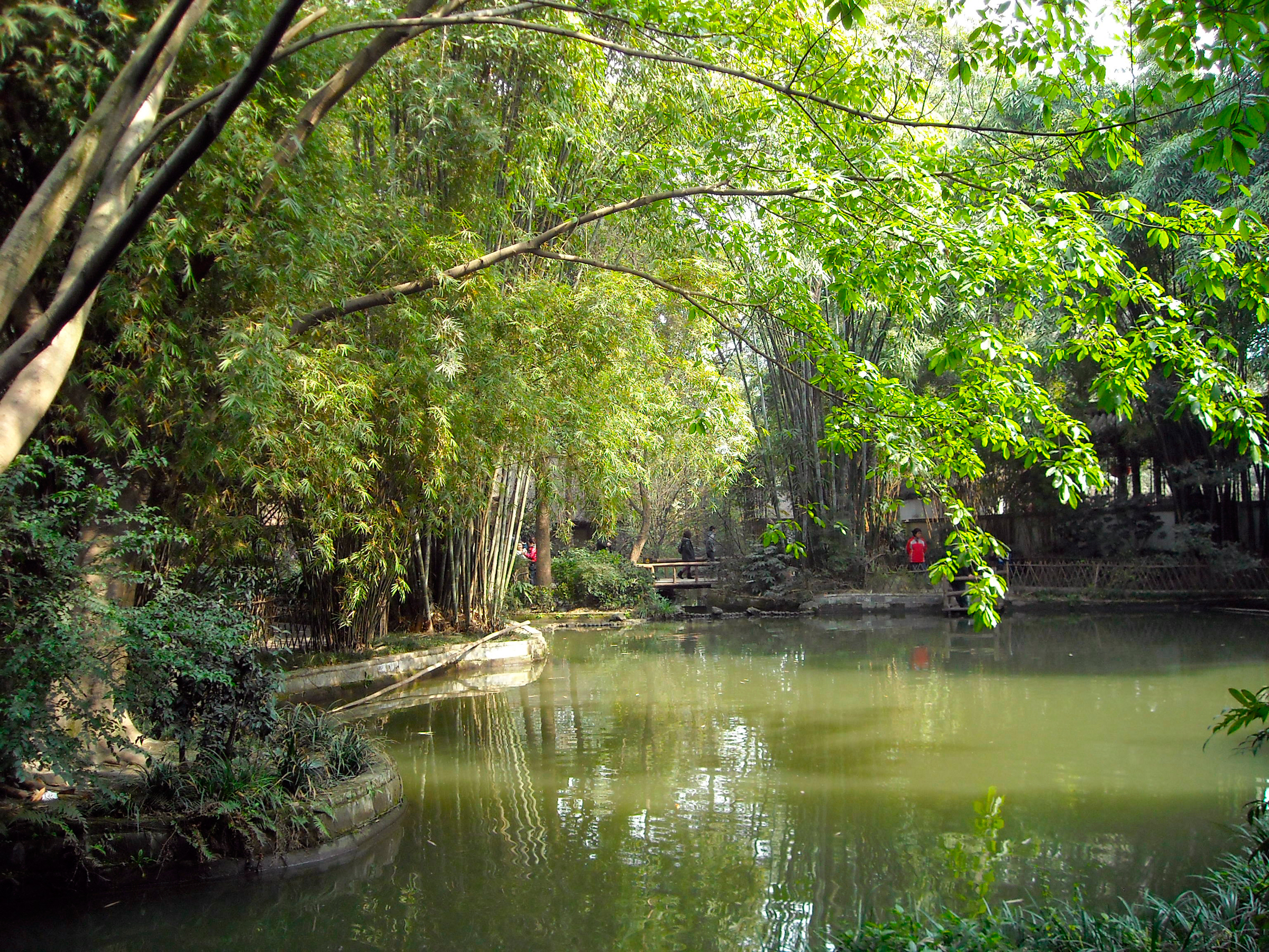 成都杜甫草堂一日游,到成都必须玩的景点是哪几个