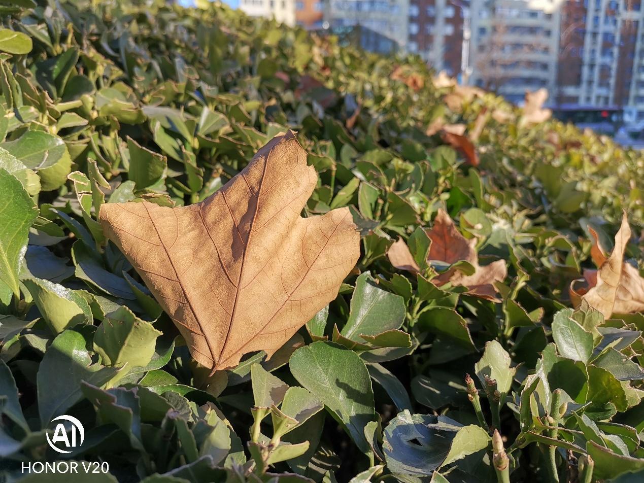 荣耀v20麒麟980多少钱,荣耀v20麒麟980还能用几年