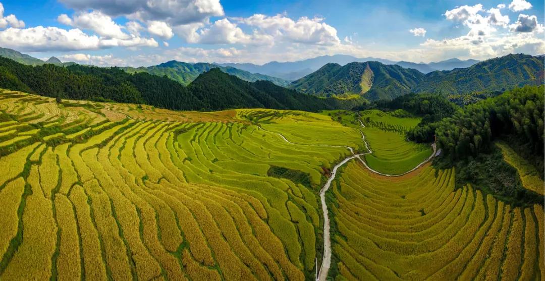 深圳出发广州自驾游,深圳去广州一日游攻略自驾游