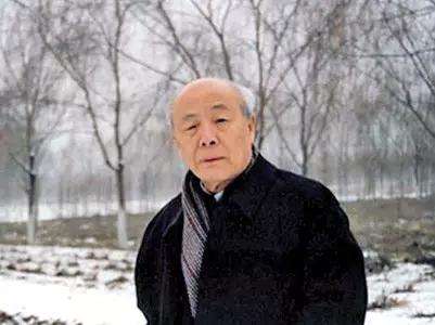 欧阳中石谈启功,欧阳中石先生深度解析