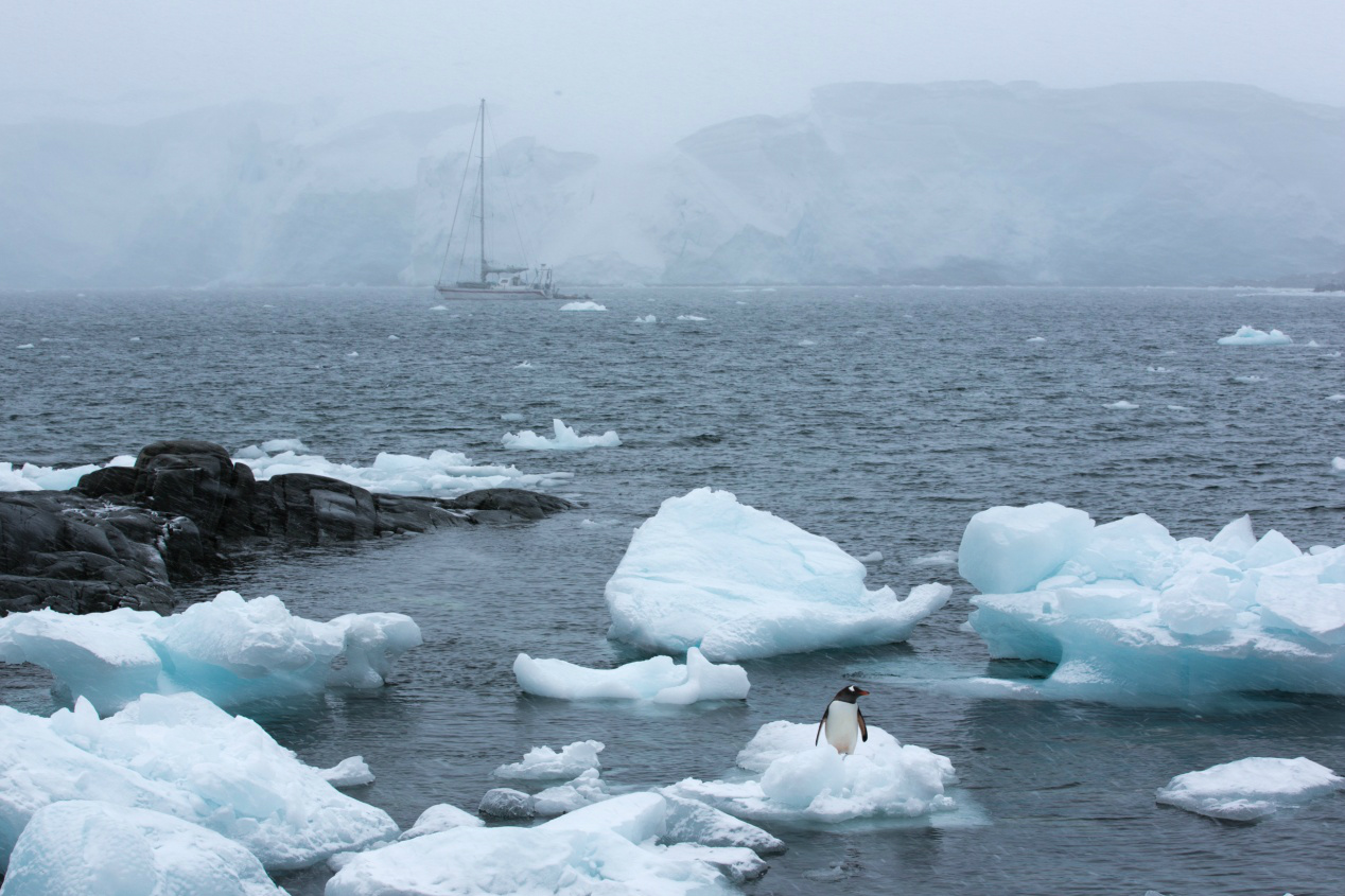 生态摄影师相机,生态摄影著名摄影家